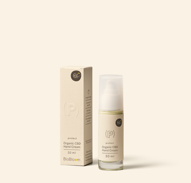 CBDHandCream_Produktwelt_625x600px Organic CBD handcream - protect
